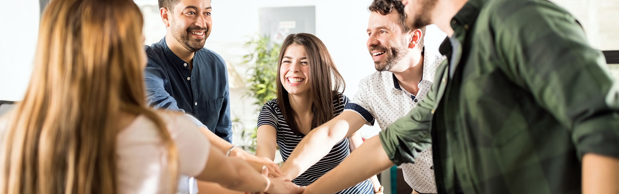 Equipo de Miralia analizando datos sociológicos